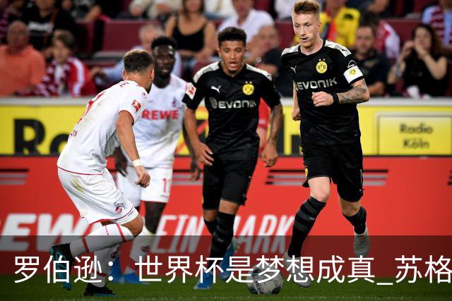 罗伯逊：世界杯是梦想成真 苏格兰已从上届欧洲杯吸取教训